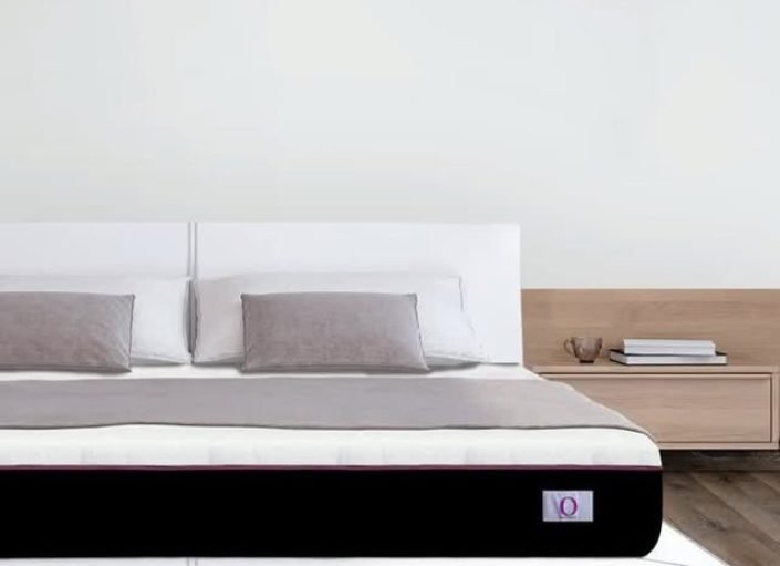 imgi_68_532444183_1164550358868093_2225534213635724832_n